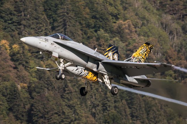 McDonnell Douglas FA-18 Hornet (J5011) - Swiss Air Forcebr /Boeing F/A-18 C (J-5011) at Meiringen Airbase