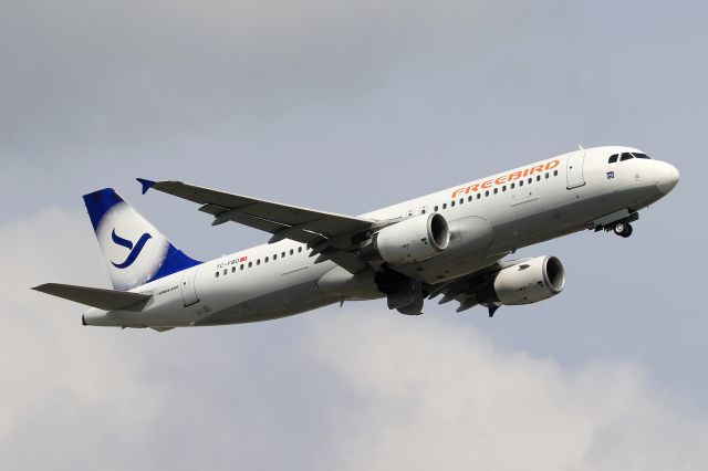 Airbus A320 (TC-FBO)