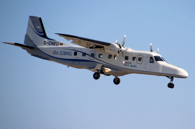 D-CNEU —
