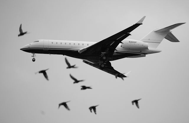 Bombardier Global Express (N360HP)