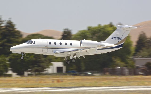 Cessna Citation III (N181MG)