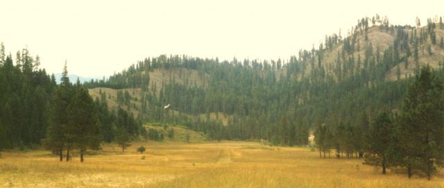 N6105N — - "Back Country Flying at its Best" landing Shearer, Idaho.