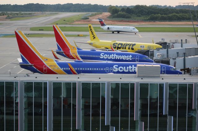 Boeing 737-800 (N8574Z)