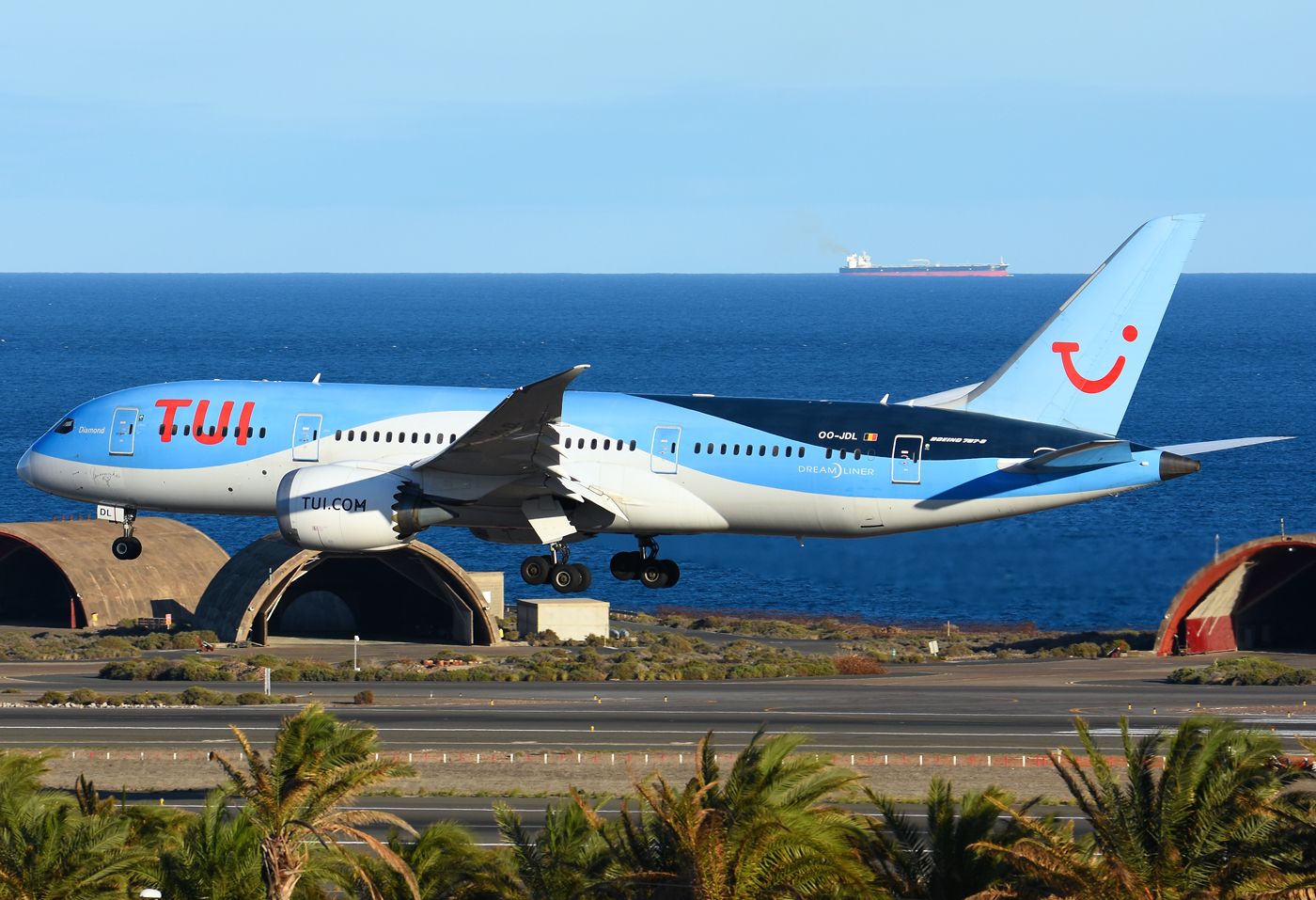 Boeing 787-8 (OO-JDL)
