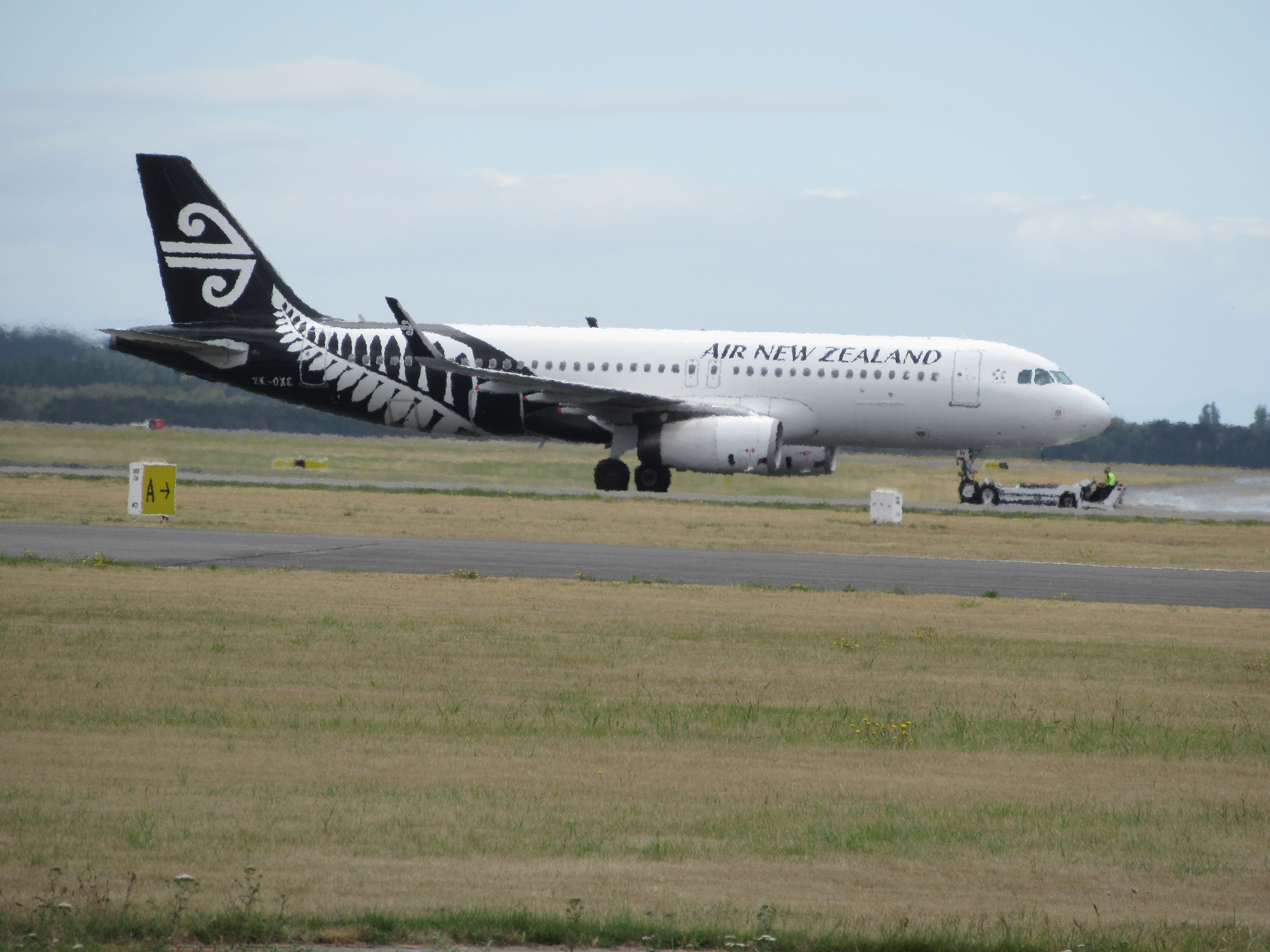 Airbus A320 (ZK-OXE) - At Gates. 