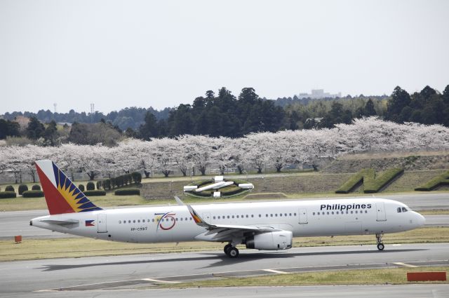 Airbus A321 (RP-C9917) - Taxing at Narita Intl Airport on 2017/04/10
