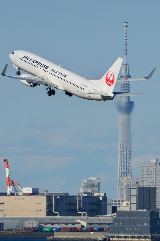 Boeing 737-800 (JA337J)