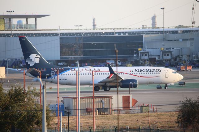 Boeing 737-800 (N825AM)
