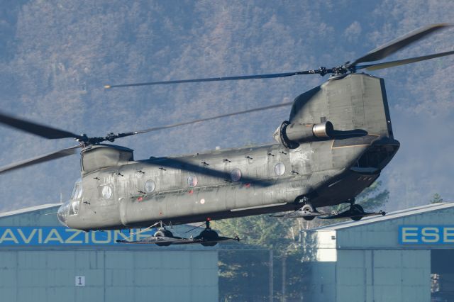 ASAP Chinook (MMZ80833)