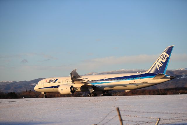 Boeing 787-9 Dreamliner (JA935A) - December 30, 2024:HKD-HND.