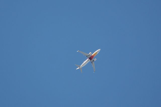 Boeing 737-800 (PZ-TCX) - Surinam Flight 8031 climbs out of Miami International Airport across Zoo Miami on a flight to Georgetown Cheddi Jagan International Airport (12/21/24)