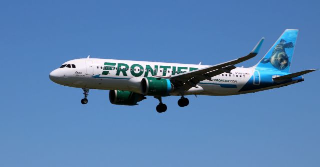 Airbus A320neo (N341FR) - On final is this 2018 Frontier Airlines Airbus 320-251N with "Fran" the Sea Lion enjoyiny the view from the tail in the Spring of 2021.