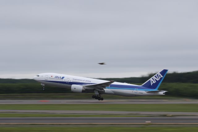 Boeing 777-200 (JA743A) - 19 July 2015: CTS-HND.