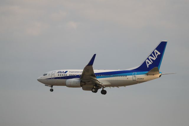 Boeing 737-700 (JA02AN) - July 25th 2019:NGO-HKD.