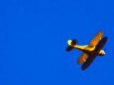 N67716 thumbnail