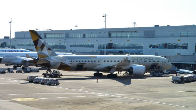 Boeing 787-9 Dreamliner (A6-BLY) - Etihad Airways Boeing 787-9 Dreamliner A6-BLY in Brussels 