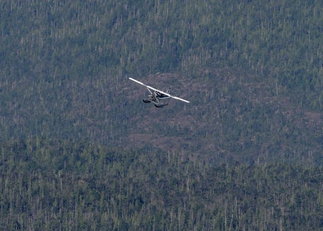 De Havilland Canada DHC-2 Mk1 Beaver (N6782L)