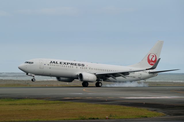 Boeing 737-800 (JA344J)
