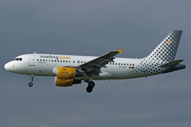 Airbus A319 (EC-MGF)