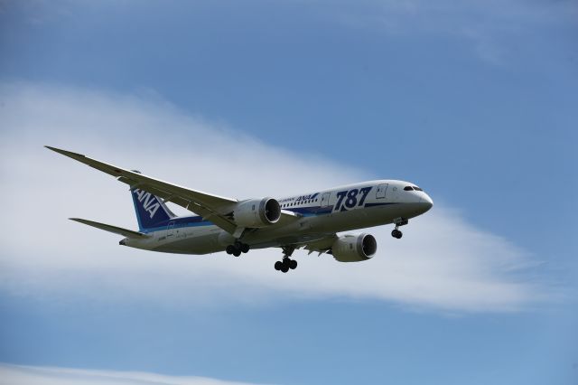 Boeing 787-8 (JA818A) - 02 June 2016:HND-HKD.