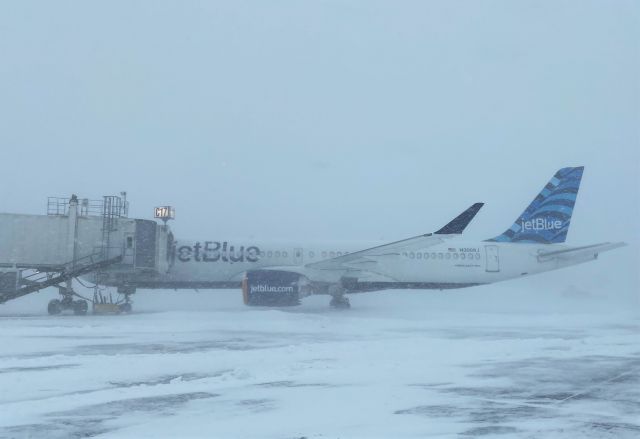 Airbus A220-300 (N3008J) - Blizzard Snow