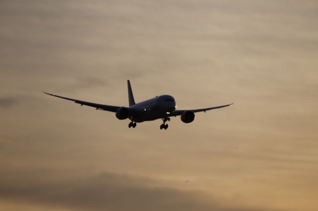 Boeing 787-8 (JA850J)