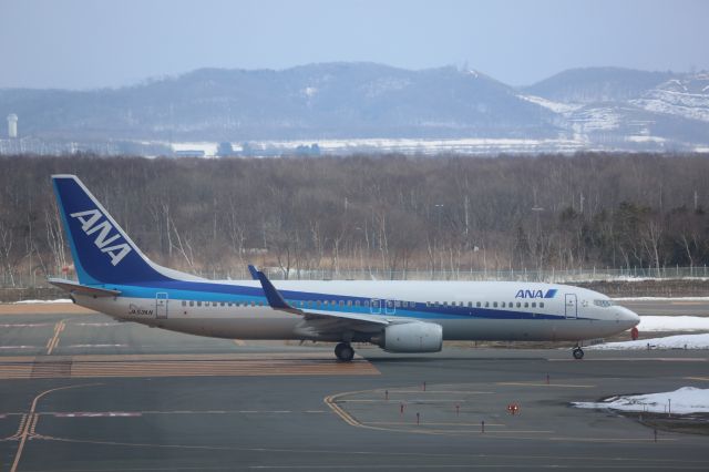 Boeing 737-800 (JA53AN)