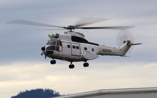 WESTLAND Puma (N367EV)