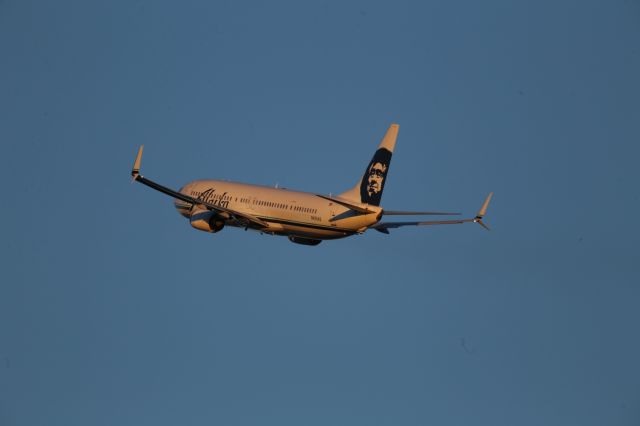 Boeing 737-800 (N435AS)