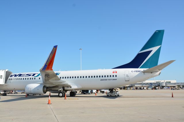 Boeing 737-800 (C-FBWI) - Im sure your asking what is going on here! Well yesterday 5-4-2014.The ground crew was pushing the WestJet plane out.When the winglet hit the horizontal stabilizer of a JetBlue Embraer 190 that was parked at the gate.So overnight they put this SWA winglet on within 12hours of the accident.