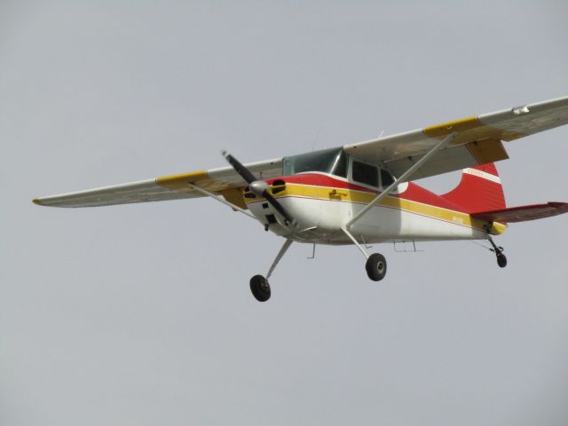 Cessna 170 (N4319B) - Landing RWY 24