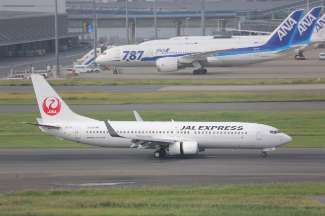 Boeing 787-3 (JA316J)