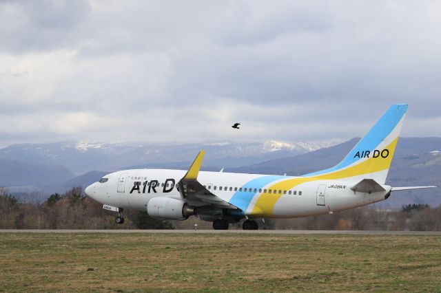 Boeing 737-700 (JA08AN) - April 26th 2020:HKD-NGO.