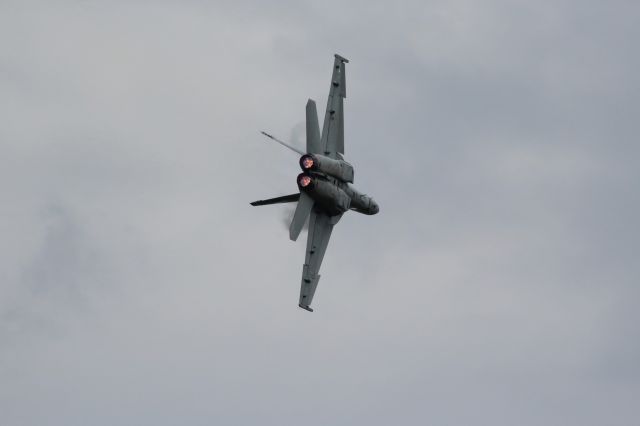 McDonnell Douglas FA-18 Hornet — - Super Hornet Demo at EAA Oshkosh 2016.