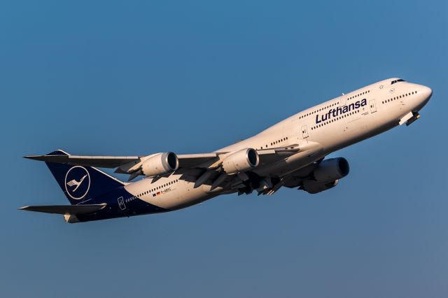 BOEING 747-8 (D-ABYC)