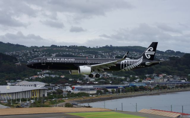 Airbus A321 (ZK-NNA) - Air New Zealand's first ever A321 on approach for it's one time service to Wellington.