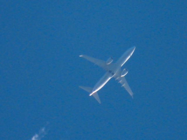 Boeing 737 MAX 8 (N313SB) - AAL1388br /PHX-JFKbr /06/12/22