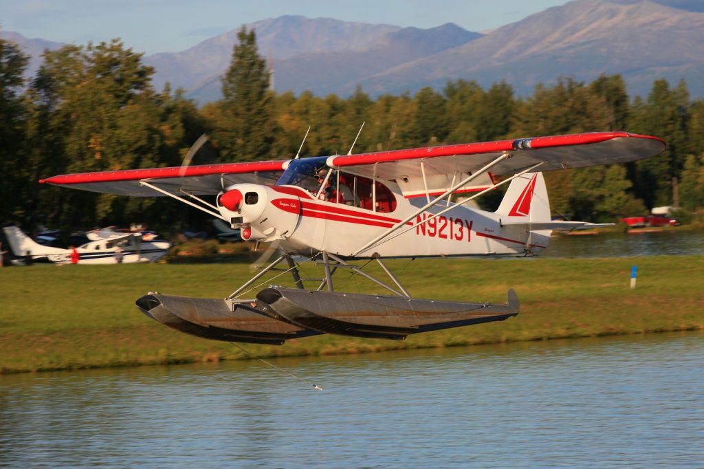 Piper L-21 Super Cub (N9213Y)