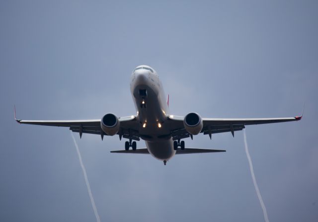 Boeing 737-800 (TC-JVL) - Vortex looks cool. 