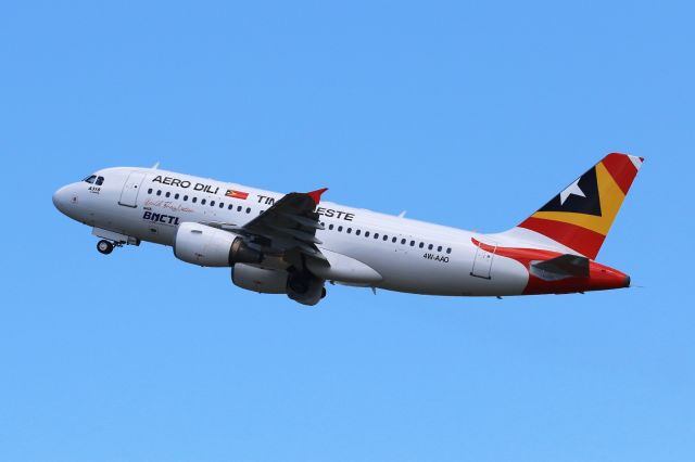 Airbus A319 (4W-AAO)