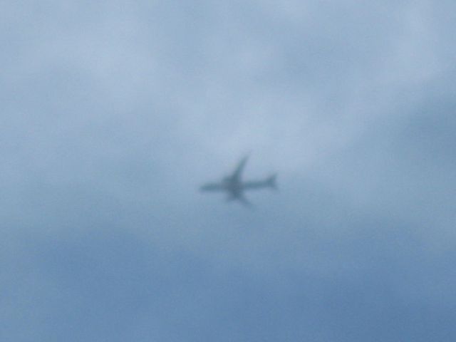 Boeing 787-8 (JA822J) - Japan Air Lines sixth flight into Boston. Sorry for the bad pic quality it was about two miles in the air.