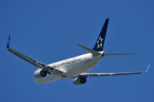 Boeing 737-800 (JA51AN)