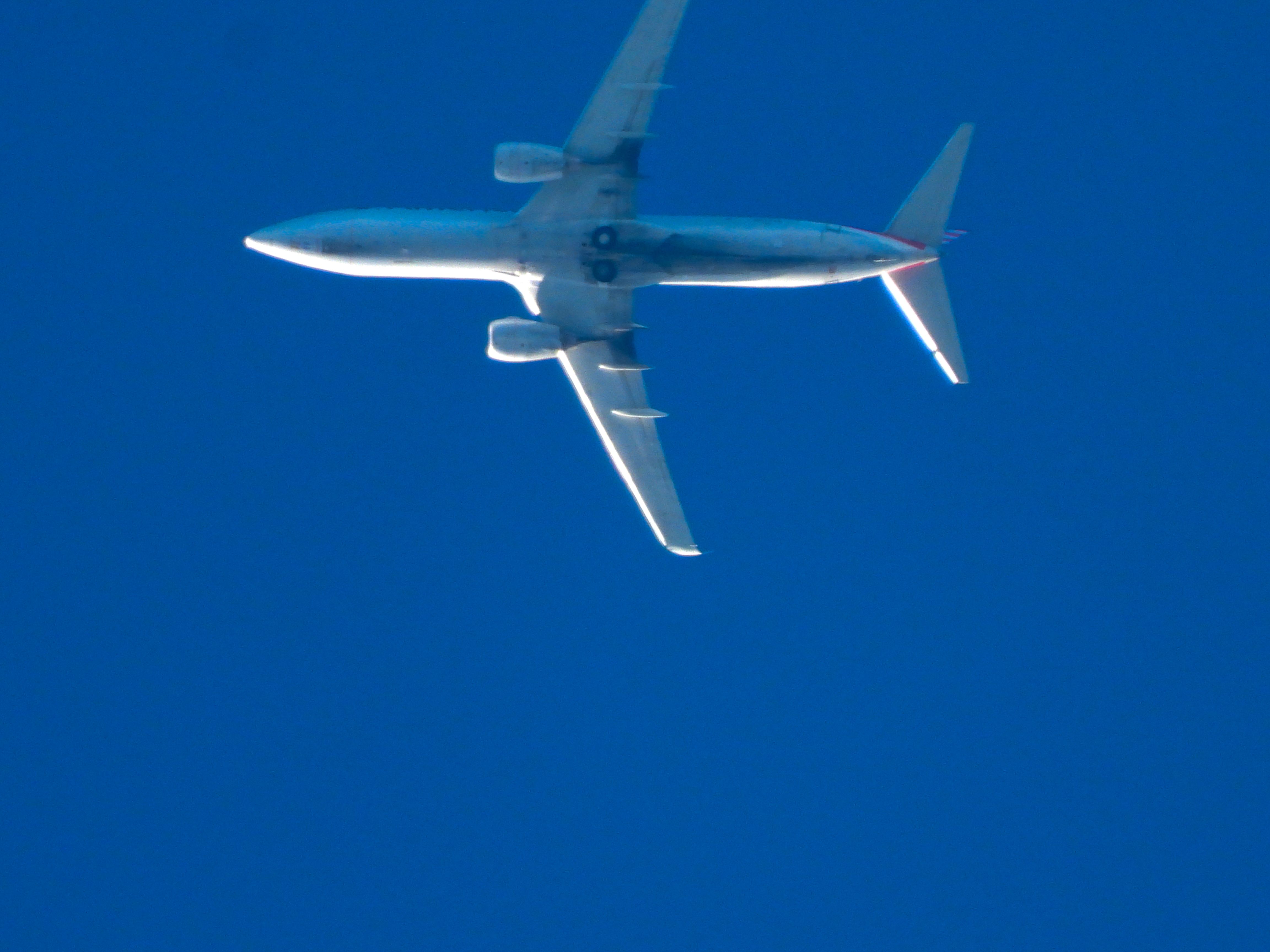 Boeing 737-800 (N974AN) - AAL2244br /BNA-DFWbr /07/30/22