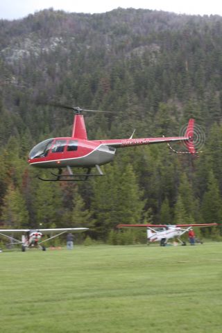 Robinson R-44 (N450KA)