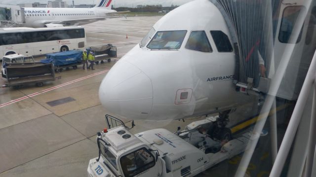 Airbus A319 (F-GRXA) - Delivered to Air France in 2001