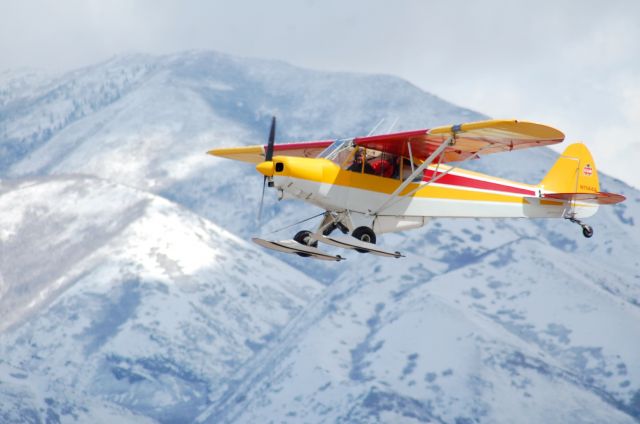 Piper L-21 Super Cub (N1144A)