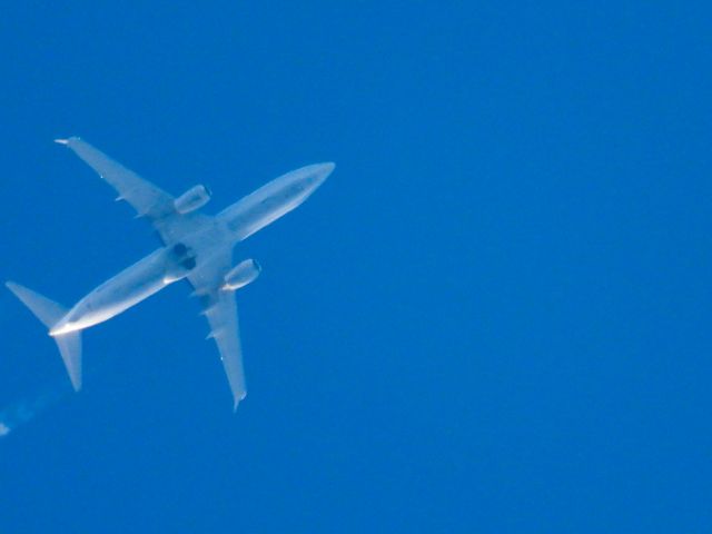 Boeing 737-800 (N33266) - UAL766br /SJD-ORDbr /11/25/2024