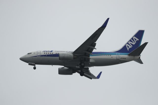 Boeing 737-700 (JA04AN) - July 28th 2017:CTS-HKD.