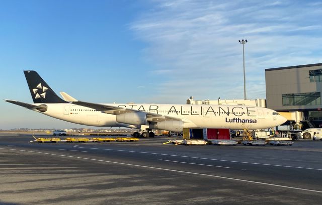 Airbus A340-300 (D-AIGP) - 02/10/24 br /LH -Star Alliance br /A340-300