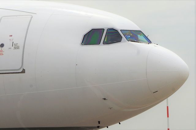 Airbus A330-200 (EI-GGR)